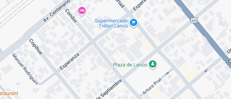 De Lenguaje Gloria Skillmann