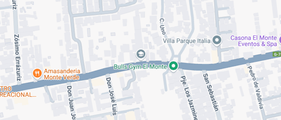 Profesor Héctor Duarte  