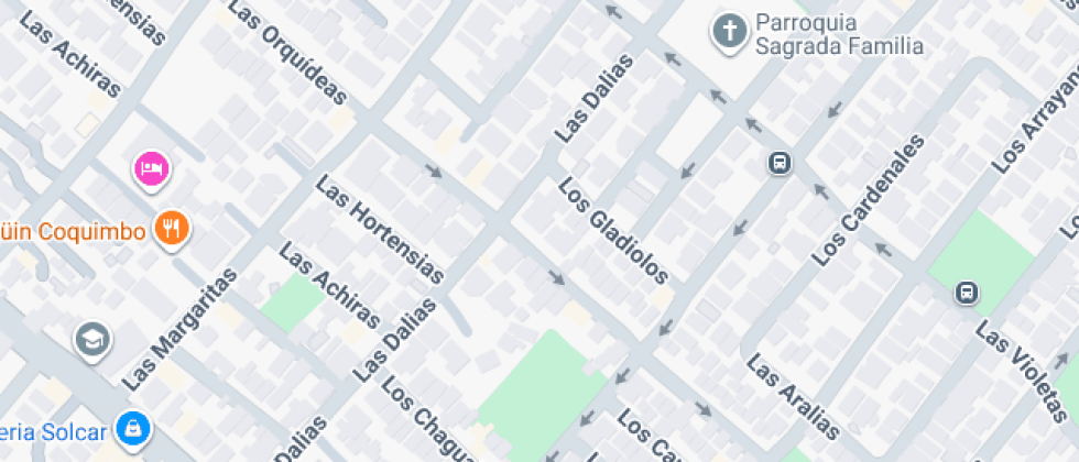 Integral De Adultos Santa