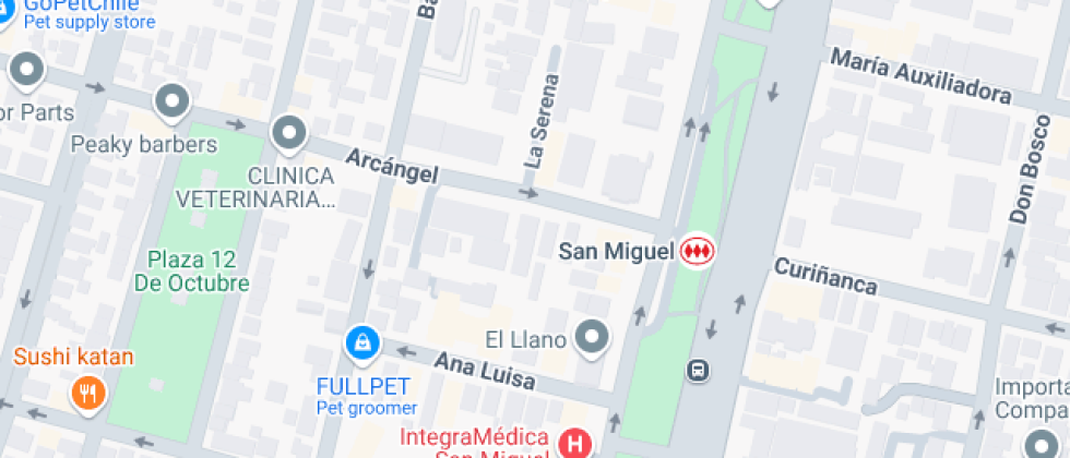 Pequeños Héroes De La Concepción