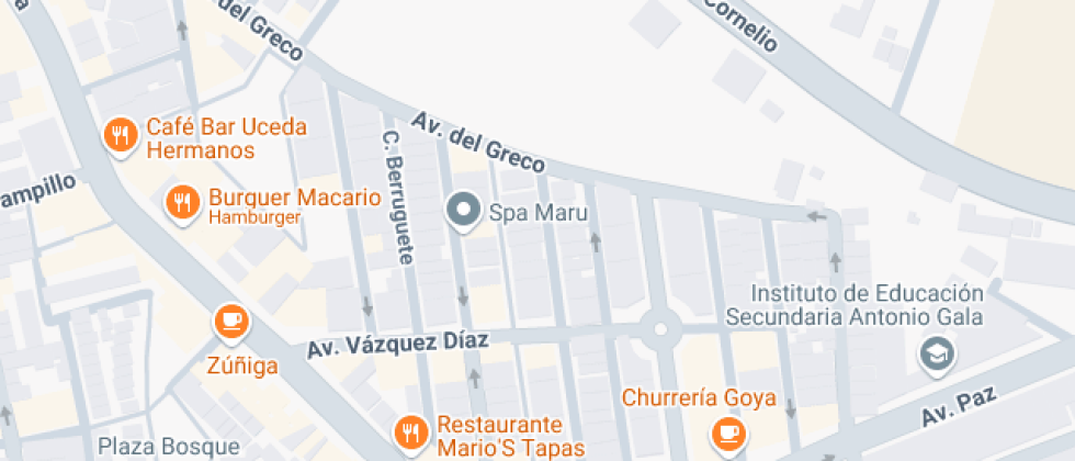 Mis Primeros Pasos