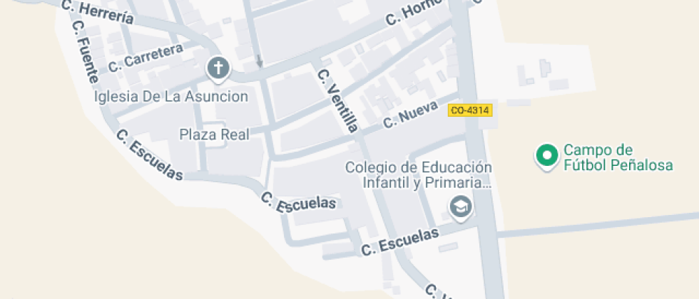 Maestro Francisco Gómez