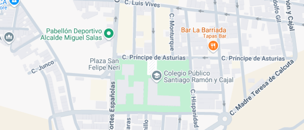 Santiago Ramón Y Cajal