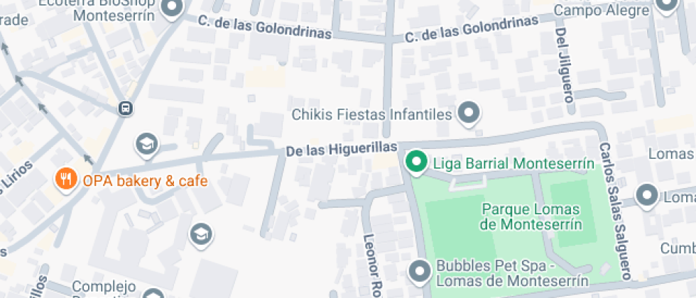 Cotopaxi American International School