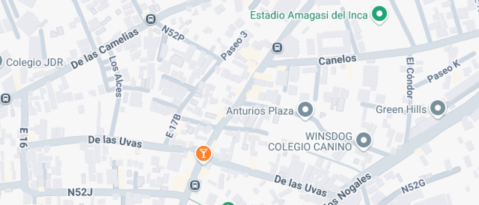 Británico Internacional