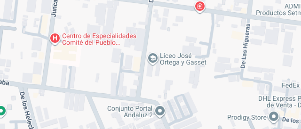 José Ortega y Gasset