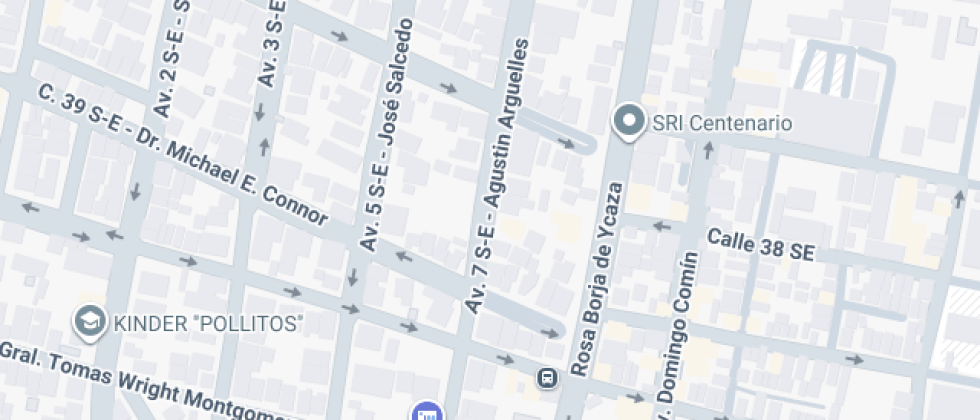 Bilingüe Nueva Semilla