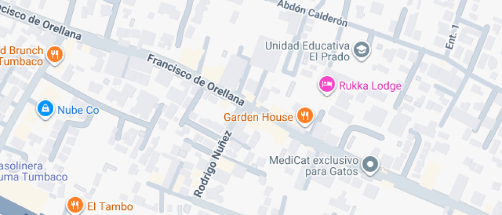 Mife Federico Engels