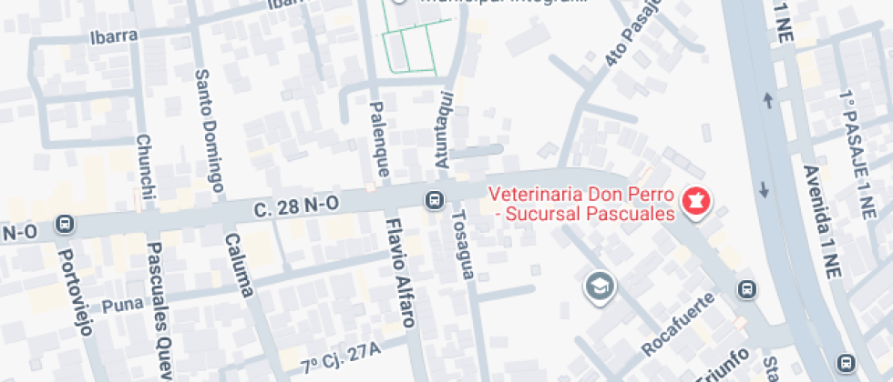 Unidad Educativa Particular Antártica