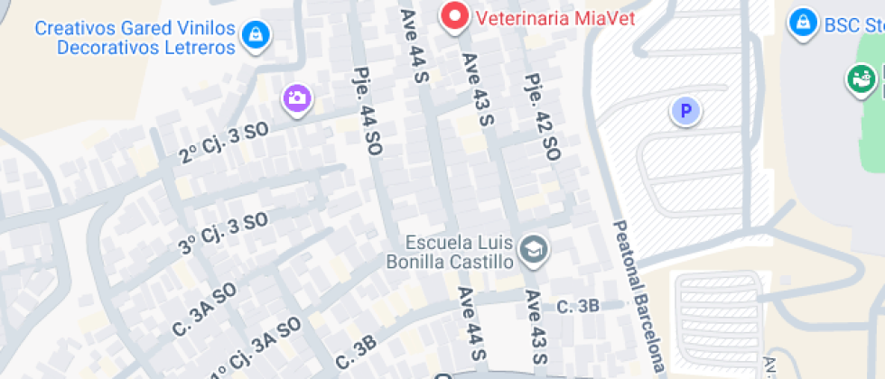 Unidad Educativa Particular San Josemaría Escriva