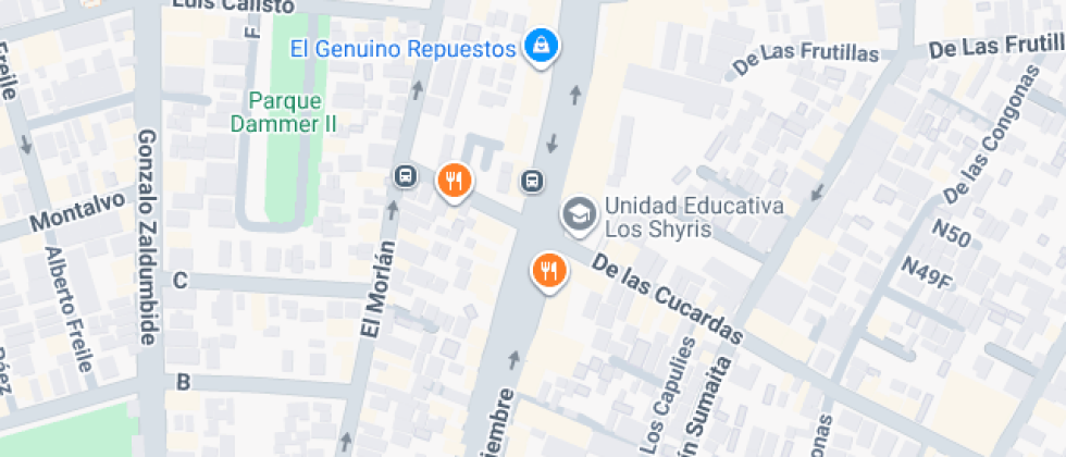 Unidad Educativa Particular Los Shyris