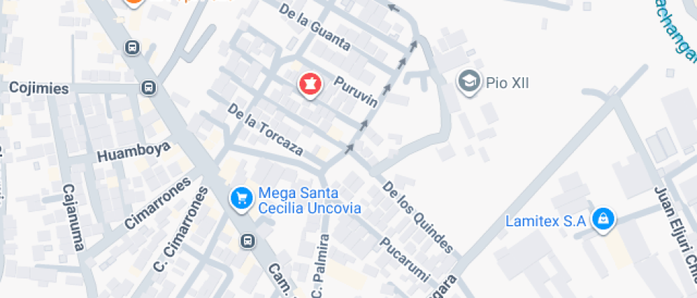 Unidad Educativa Particular Pio XII