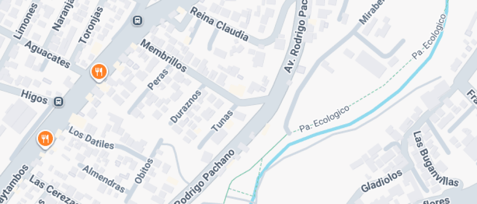 Unidad Educativa Unikids