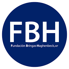 Logo de  Fundación Bringas Haghenbeck