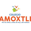 Logo de Colegio Amoxtli